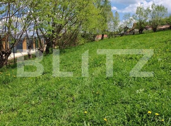 Teren de vânzare Moieciu de jos - 169785TV | BLITZ Brașov | Poza2