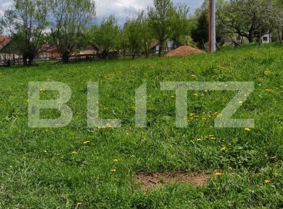 Teren de vânzare Moieciu de jos - 169785TV | BLITZ Brașov | Poza3