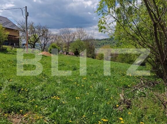 Teren de vânzare Moieciu de jos - 169785TV | BLITZ Brașov | Poza1