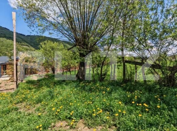 Teren de vânzare Moieciu de jos - 169785TV | BLITZ Brașov | Poza6