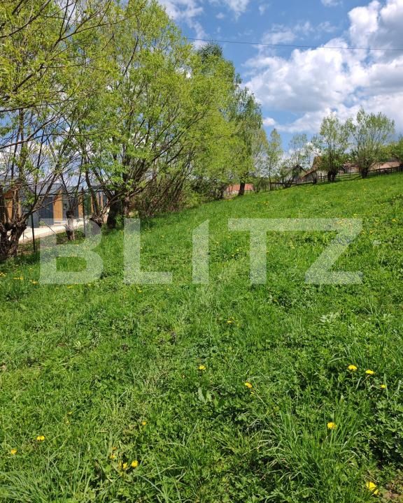 Teren de vânzare Moieciu de jos - 169785TV | BLITZ Brașov | Poza2