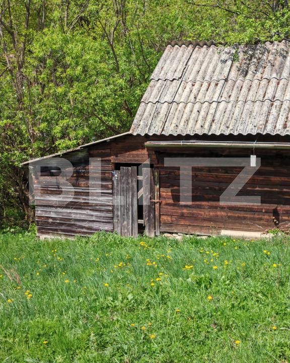 Teren de vânzare Moieciu de jos - 169785TV | BLITZ Brașov | Poza5