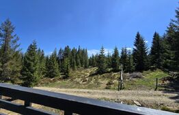 Cabană modernă în Mărișel, 4 dormitoare, teren de 1000mp