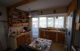 Apartament 3 camere, 56.41 mp, balcon cu view, la cheie, Baciu, Petrom