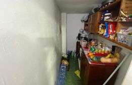 Duplex cu 2 camere de vanzare in Copaceni