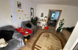 Duplex cu 2 camere de vanzare in Copaceni