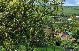 Duplex cu 2 camere de vanzare in Copaceni