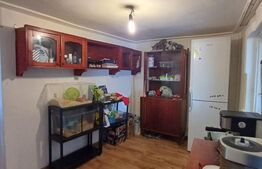 Duplex cu 2 camere de vanzare in Copaceni