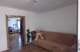 Duplex cu 2 camere de vanzare in Copaceni