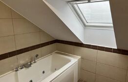 Apartament cu 2 camere, semidecomadat, 65 mp, zona Buna Ziua