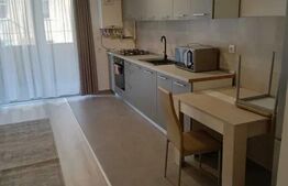 Apartament de inchiriat, cu o camera, modern, 45 mp, zona Iris