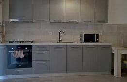 Apartament de inchiriat, cu o camera, modern, 45 mp, zona Iris