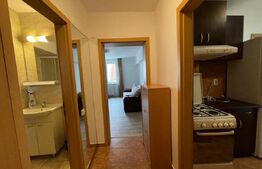 Apartament cu 2 camere, decomandat, 45 mp, balcon, Casa de Cultura a Studentilor