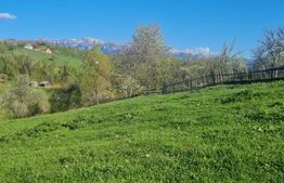 Vila superba Magura- Brasov , destinatie pensiune 6 camere 5 bai zona superba