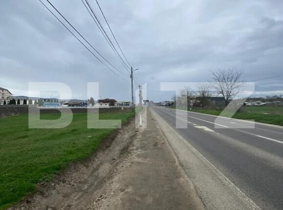 Teren de vânzare Luna - 169868TV | BLITZ Cluj-Napoca | Poza2