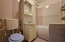 Apartament cu 1 camera, 32 mp, zona Aleea Detunata