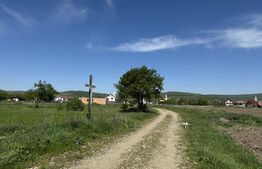 Teren de vanzare 8.700 mp în Livada comuna Iclod