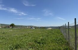 Teren de vanzare 8.700 mp în Livada comuna Iclod