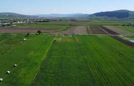 Teren de vanzare 8.700 mp în Livada comuna Iclod