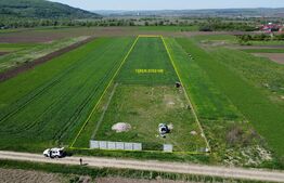 Teren de vanzare 8.700 mp în Livada comuna Iclod