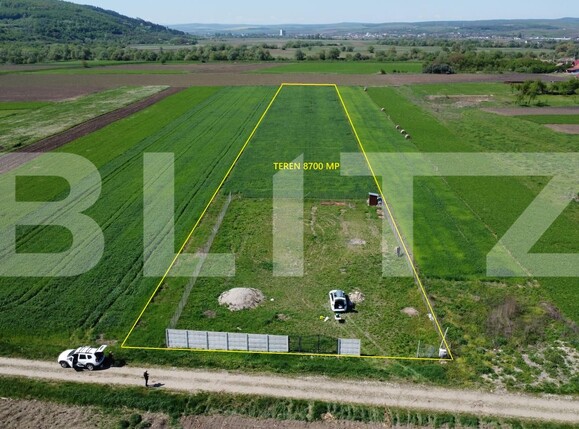 Teren de vânzare Livada (Iclod) - 169875TV | BLITZ Cluj-Napoca | Poza2