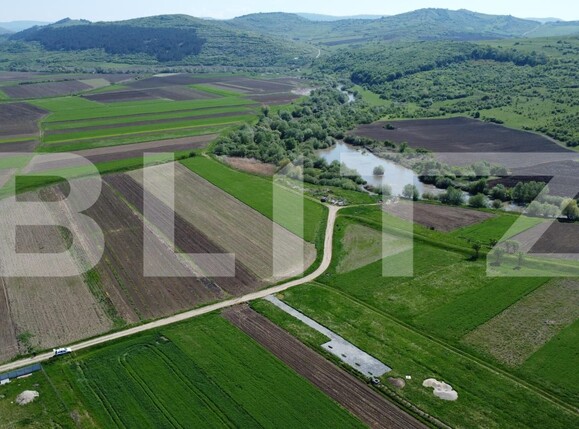 Teren de vânzare Livada (Iclod) - 169875TV | BLITZ Cluj-Napoca | Poza4