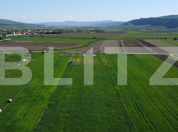 Teren de vânzare Livada (Iclod) - 169875TV | BLITZ Cluj-Napoca | Poza12