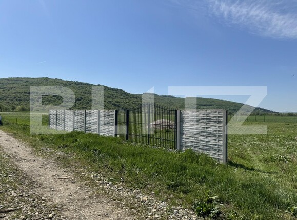 Teren de vânzare Livada (Iclod) - 169875TV | BLITZ Cluj-Napoca | Poza6