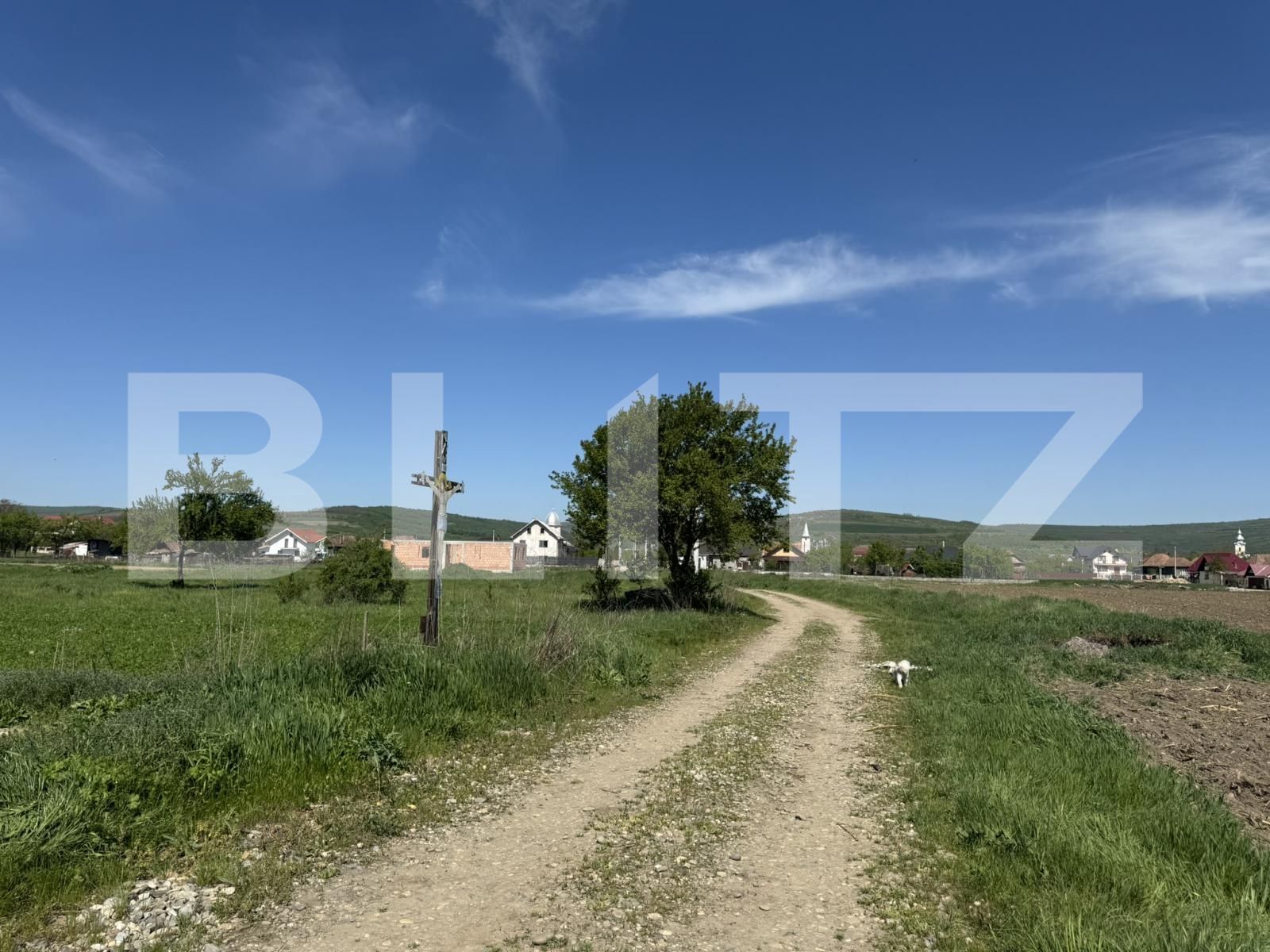 Teren de vânzare Livada (Iclod) - 169875TV | BLITZ Cluj-Napoca | Poza7