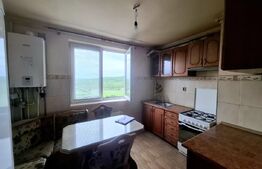 Apartament cu 2 camere, 46 mp, in zona Gheorgheni