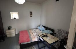 Casă 180 mp, grădină 2292 mp, la 3 km de Gherla 
