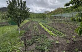 Casă 180 mp, grădină 2292 mp, la 3 km de Gherla 