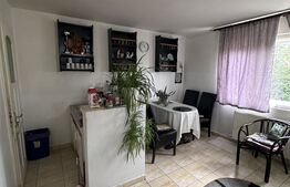 Casă 180 mp, grădină 2292 mp, la 3 km de Gherla 