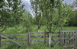 Casă 180 mp, grădină 2292 mp, la 3 km de Gherla 