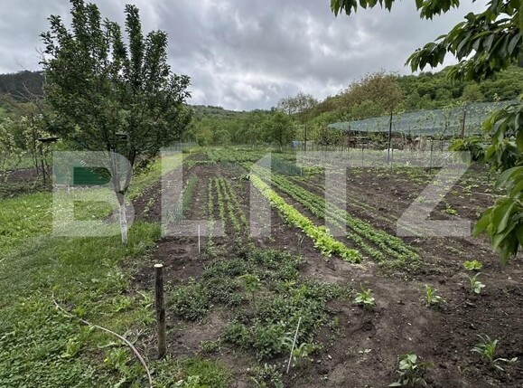 Casa de vânzare 4 camere Hasdate (Gherla) - 169908CV | BLITZ Cluj-Napoca | Poza24