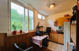 Apartament cu 1 camera, 32 mp, zona str. Parang