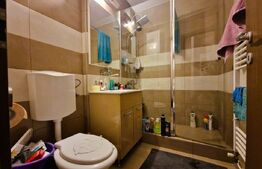 Apartament cu 1 camera, 32 mp, zona str. Parang