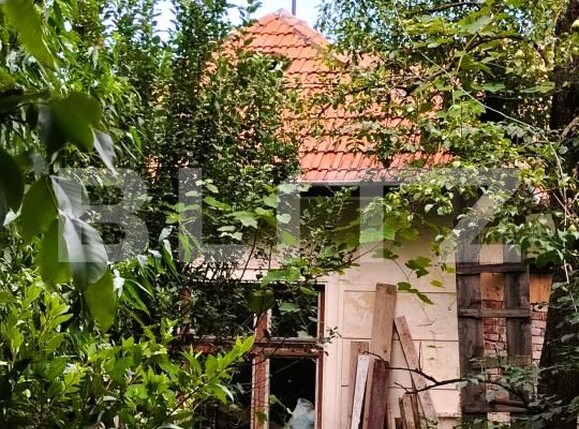 Casa de vânzare 4 camere Grigorescu - 169930CV | BLITZ Cluj-Napoca | Poza2