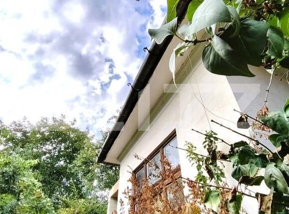 Casa de vânzare 4 camere Grigorescu - 169930CV | BLITZ Cluj-Napoca | Poza1