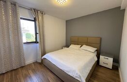 Casa individuala 4 camere, pet friendly, zona Aerodromul Dezmir