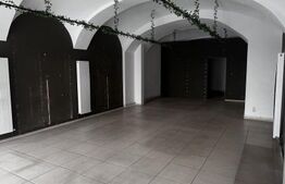 Investitie-Spatiu comercial , central,  132 mp, > 6 % randament/an/eur  