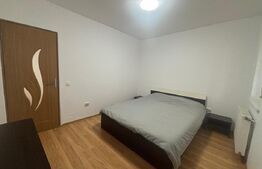 Apartament 2 camere, 51 mp, etaj intermediar, zona Muzeul Apei