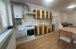 Apartament 2 camere, 51 mp, etaj intermediar, zona Muzeul Apei