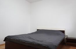 Apartament 2 camere, 51 mp, etaj intermediar, zona Muzeul Apei