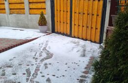 Casă si spațiu comercial funcțional, Sălicea.Investiție.Randament bun