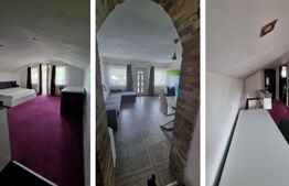 Casă si spațiu comercial funcțional, Sălicea.Investiție.Randament bun