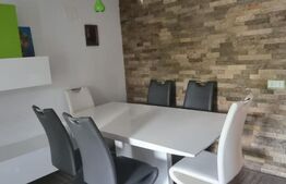 Casă si spațiu comercial funcțional, Sălicea.Investiție.Randament bun