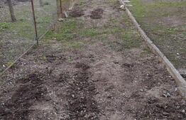 Apartament 3 camere cu gradina in Mihai Viteazu