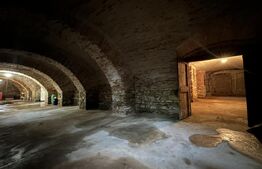 Casa saseasca autentica, complet renovata – de vanzare în Cincu, Brașov