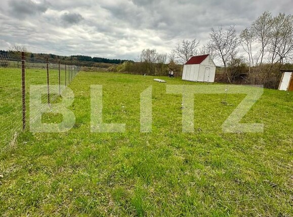 Teren de vânzare Coruşu - 169982TV | BLITZ Cluj-Napoca | Poza6